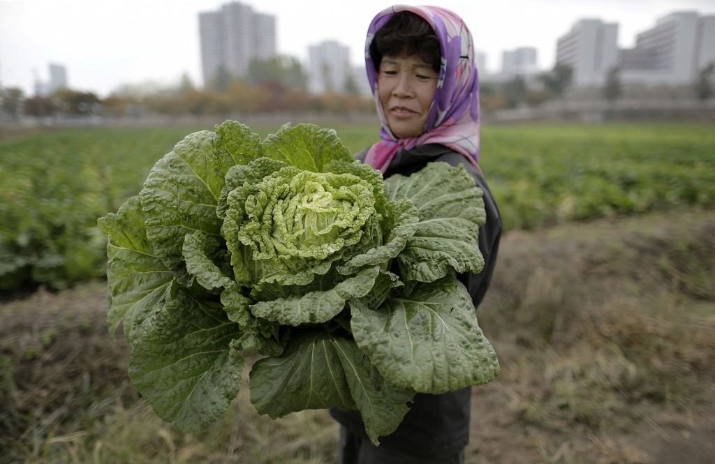 Photo credit: AP Photo/Wong Maye-E