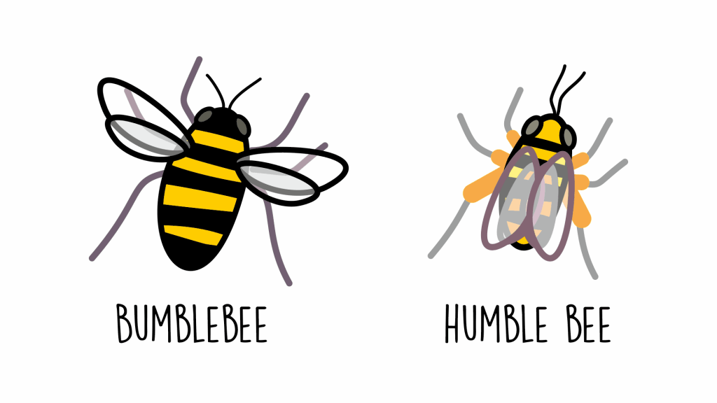 bumblebee humble bee