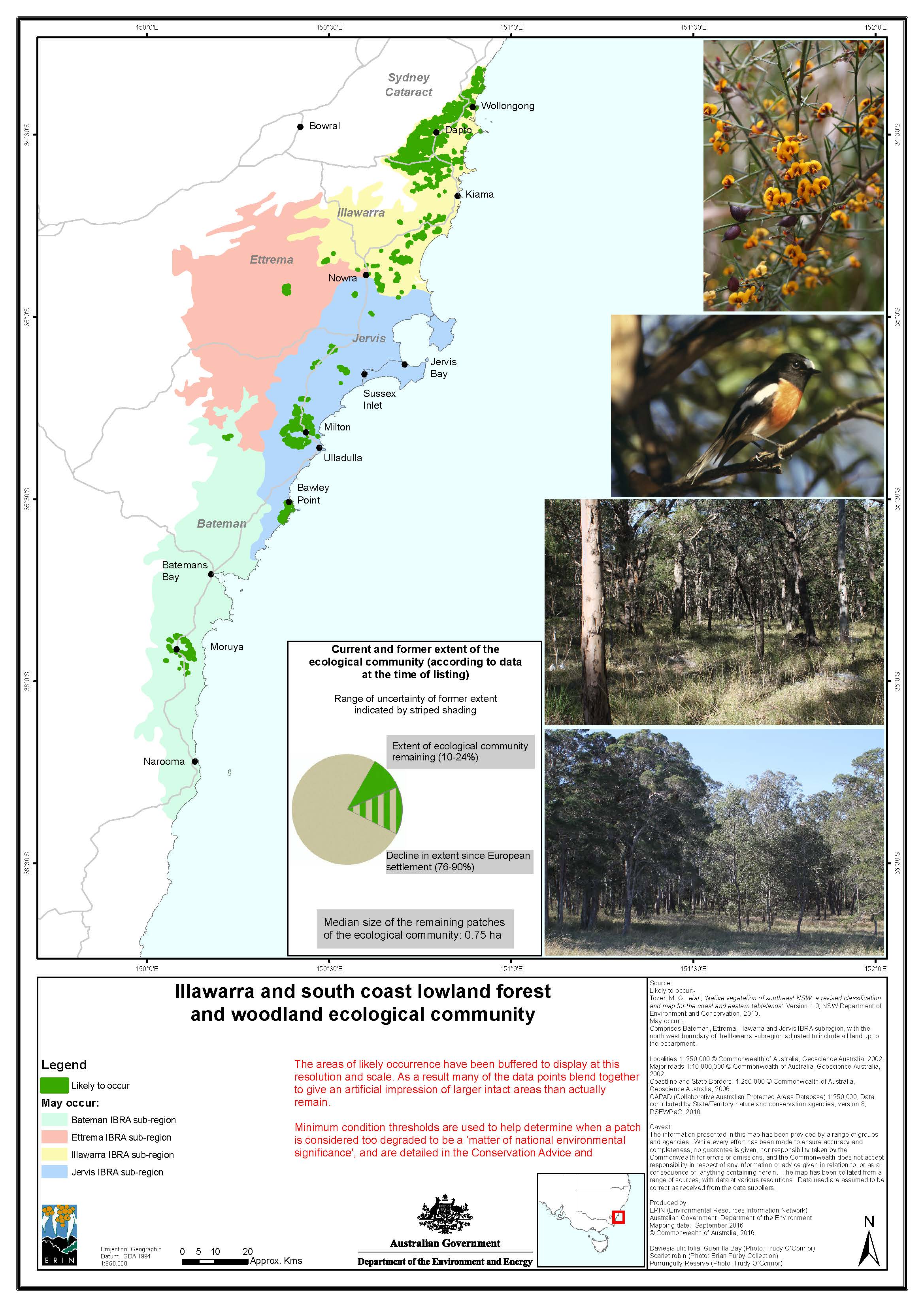 Illawarra and south coast lowland forest and woodland ecological community