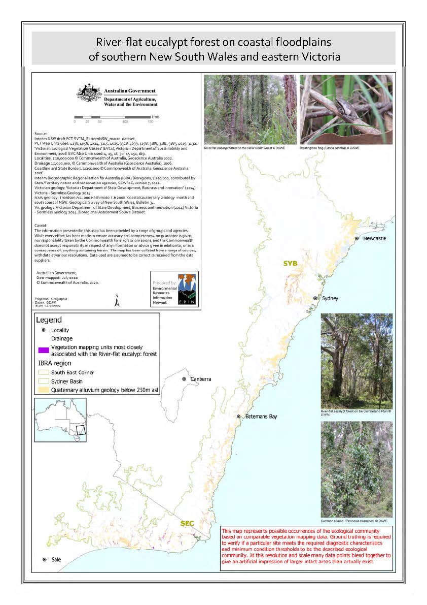 River-flat eucalypt forest on coastal floodplains of southern New South Wales and eastern Victoria